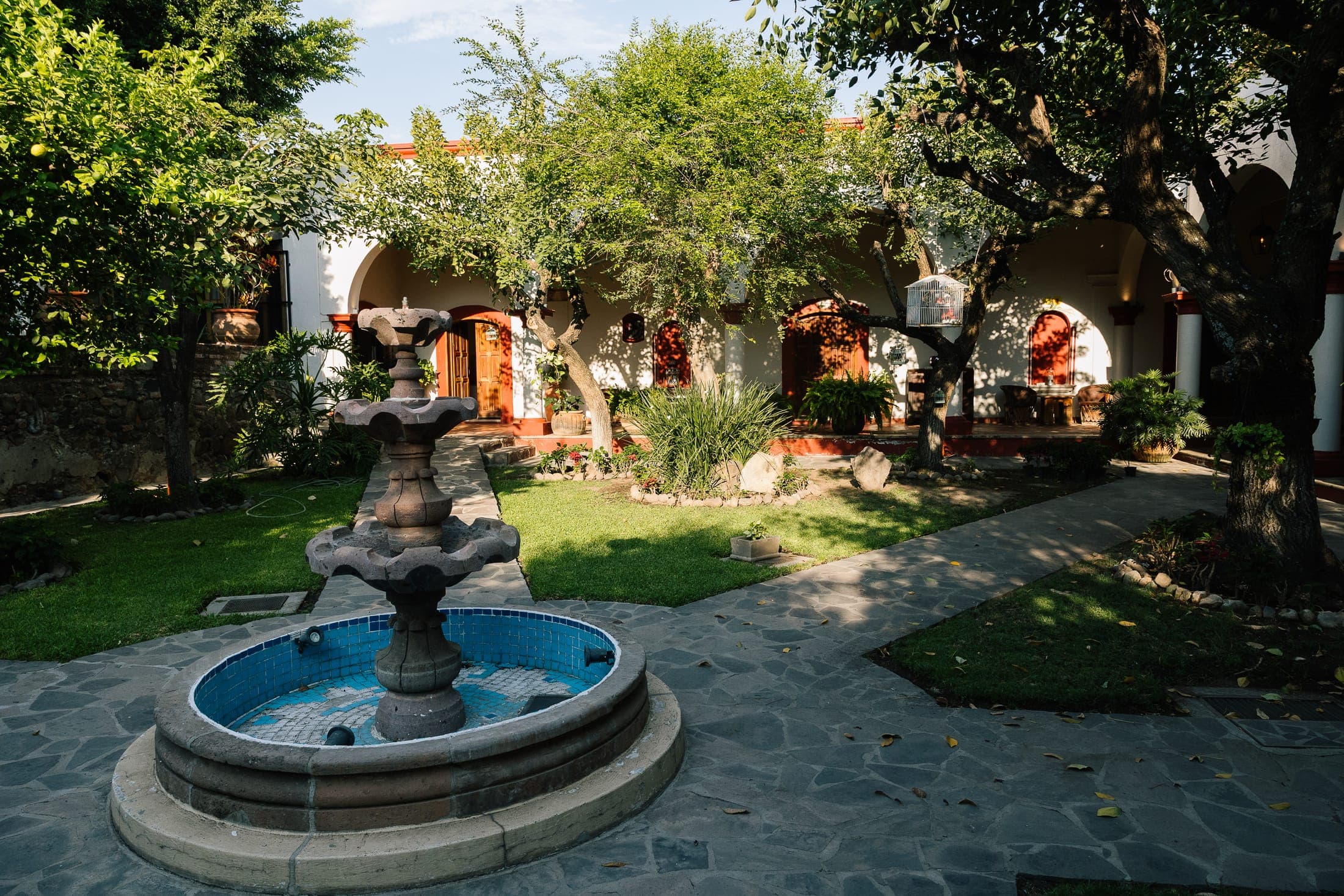 Fuente rodeada de vegetación en los jardines